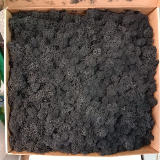 Mahovina crna 1 kg
