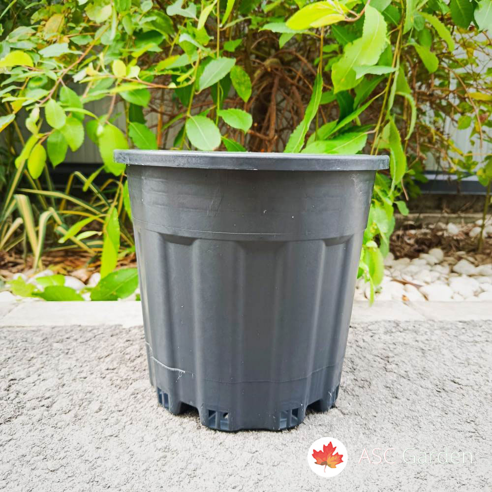 Rasadničarske saksije – profesionalne plastične saksije za uzgoj biljaka - Slika 7