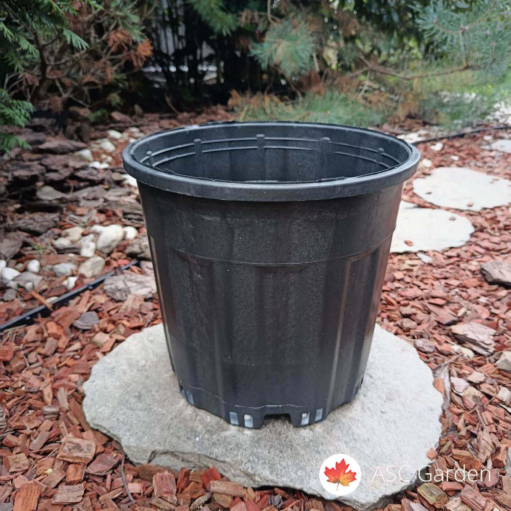 Rasadničarske saksije – profesionalne plastične saksije za uzgoj biljaka - Slika 9
