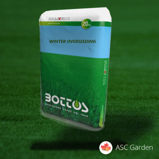 Winter Overseeding – Seme za regeneraciju travnjaka